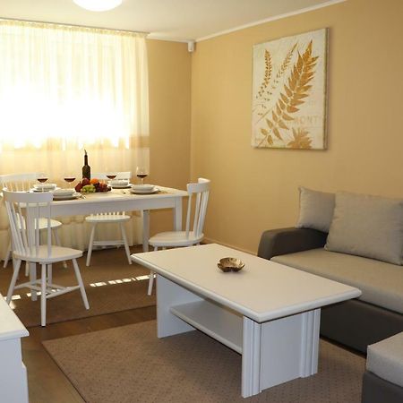 Cluj City Center Apartment מראה חיצוני תמונה