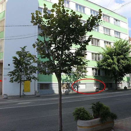 Cluj City Center Apartment מראה חיצוני תמונה