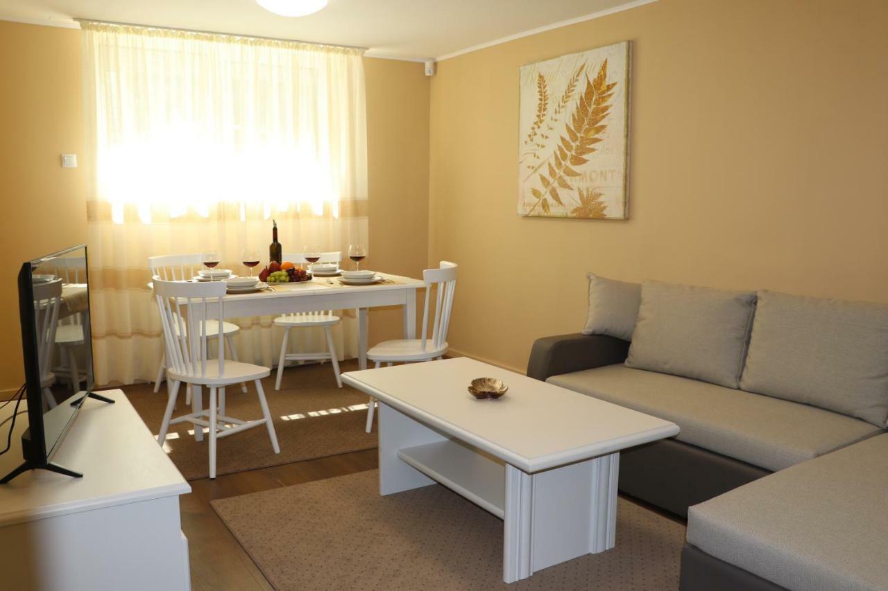 Cluj City Center Apartment מראה חיצוני תמונה